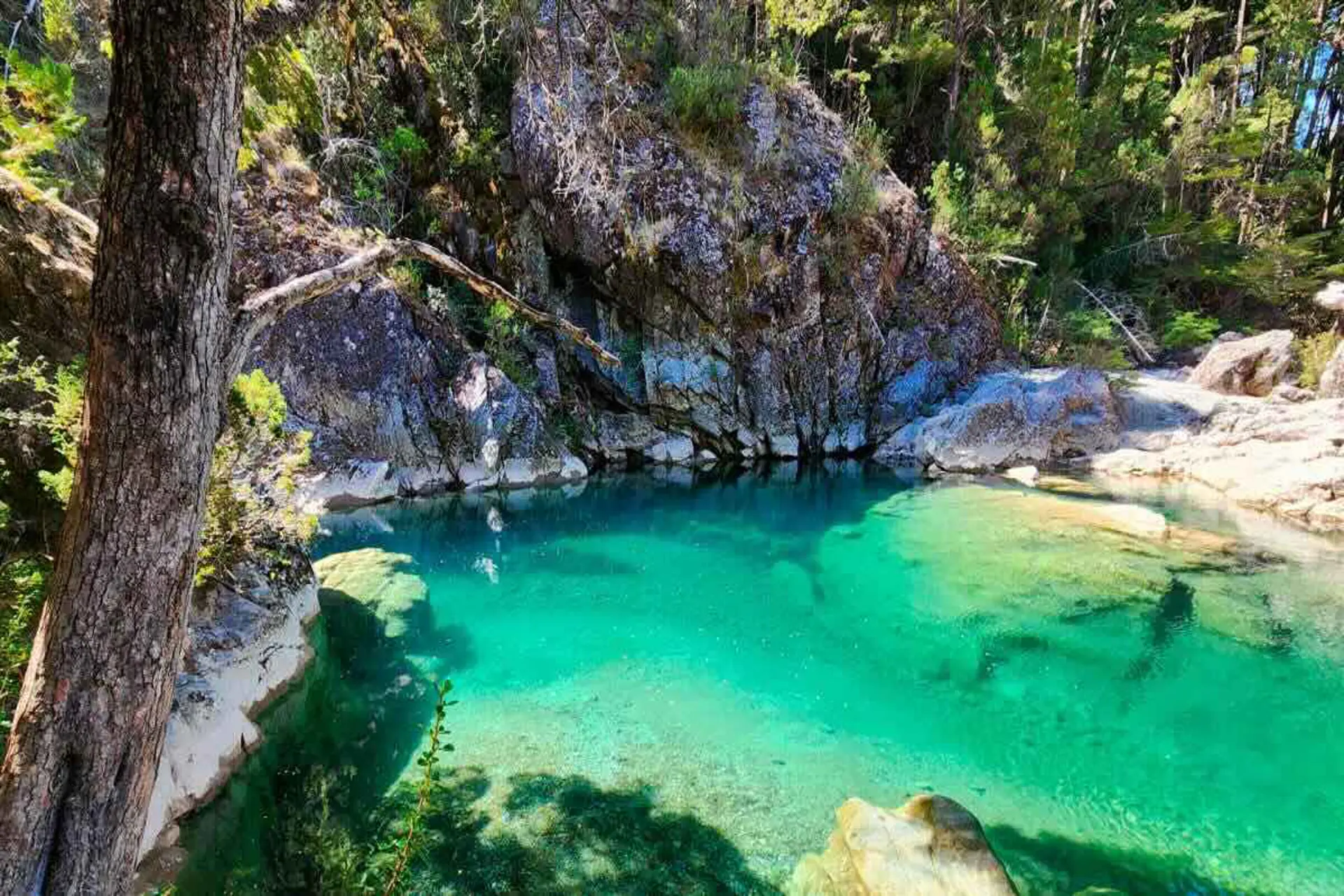 El Bolsón inauguró la temporada de verano con una ocupación del 80%