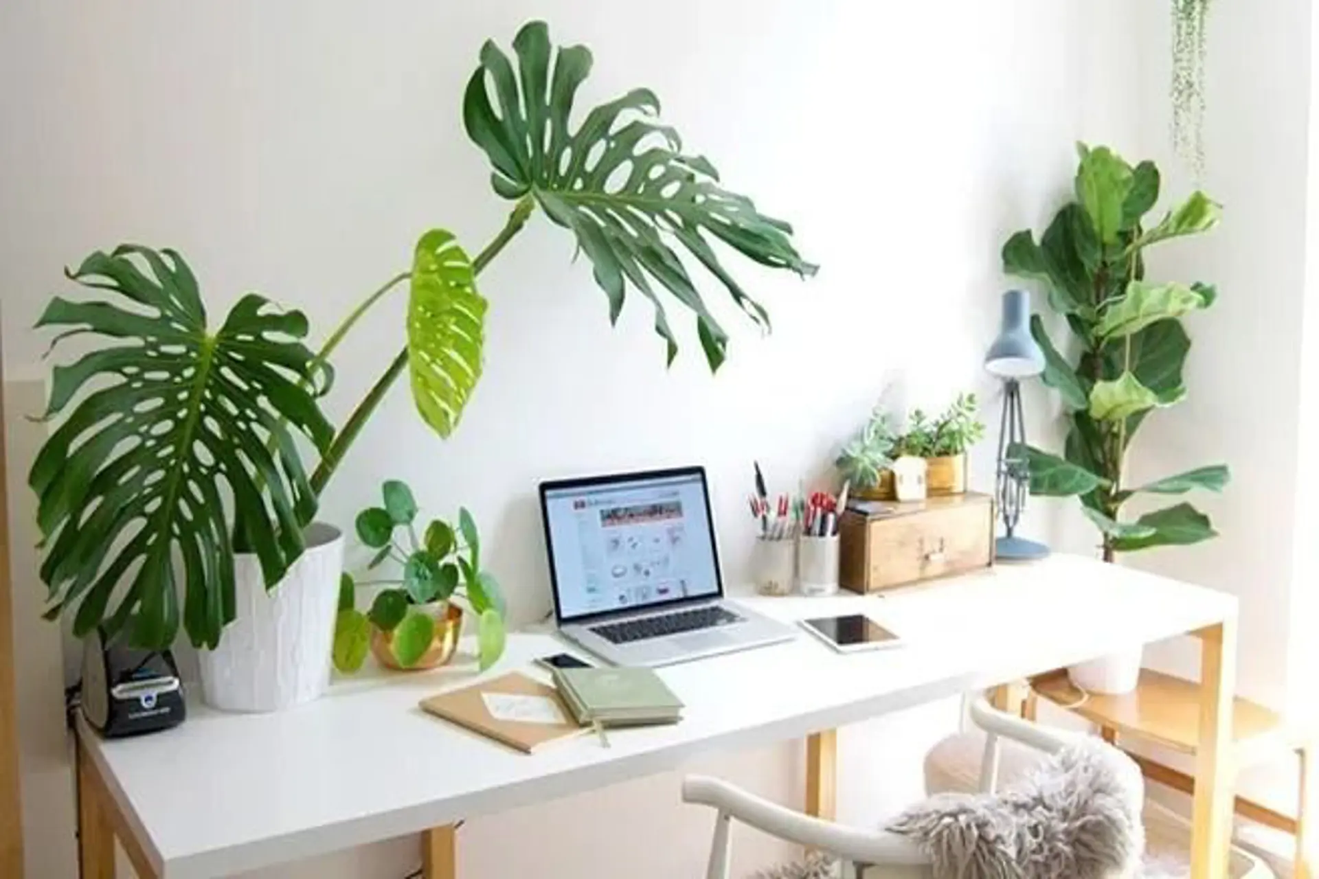 ¿Trabajar remoto tiene un impacto menor en el medio ambiente? 