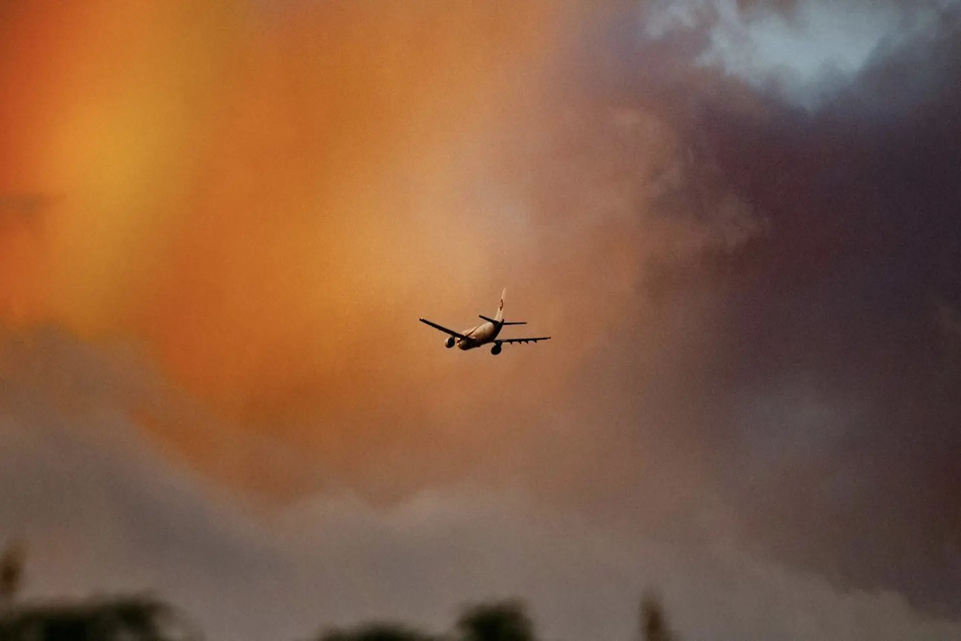  Ingresan a México más de 6 millones turistas extranjeros vía aérea 