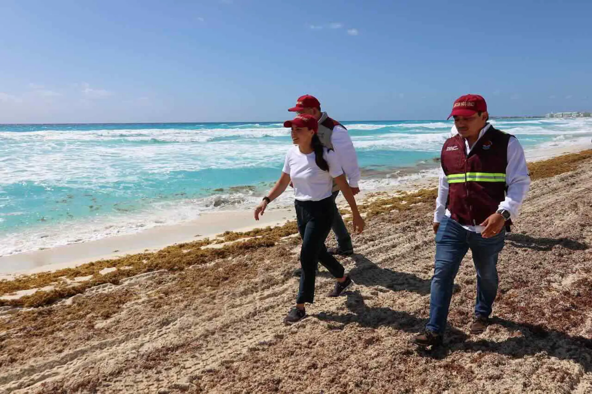 Refuerzan  la  recolección de sargazo en playas públicas en Cancún