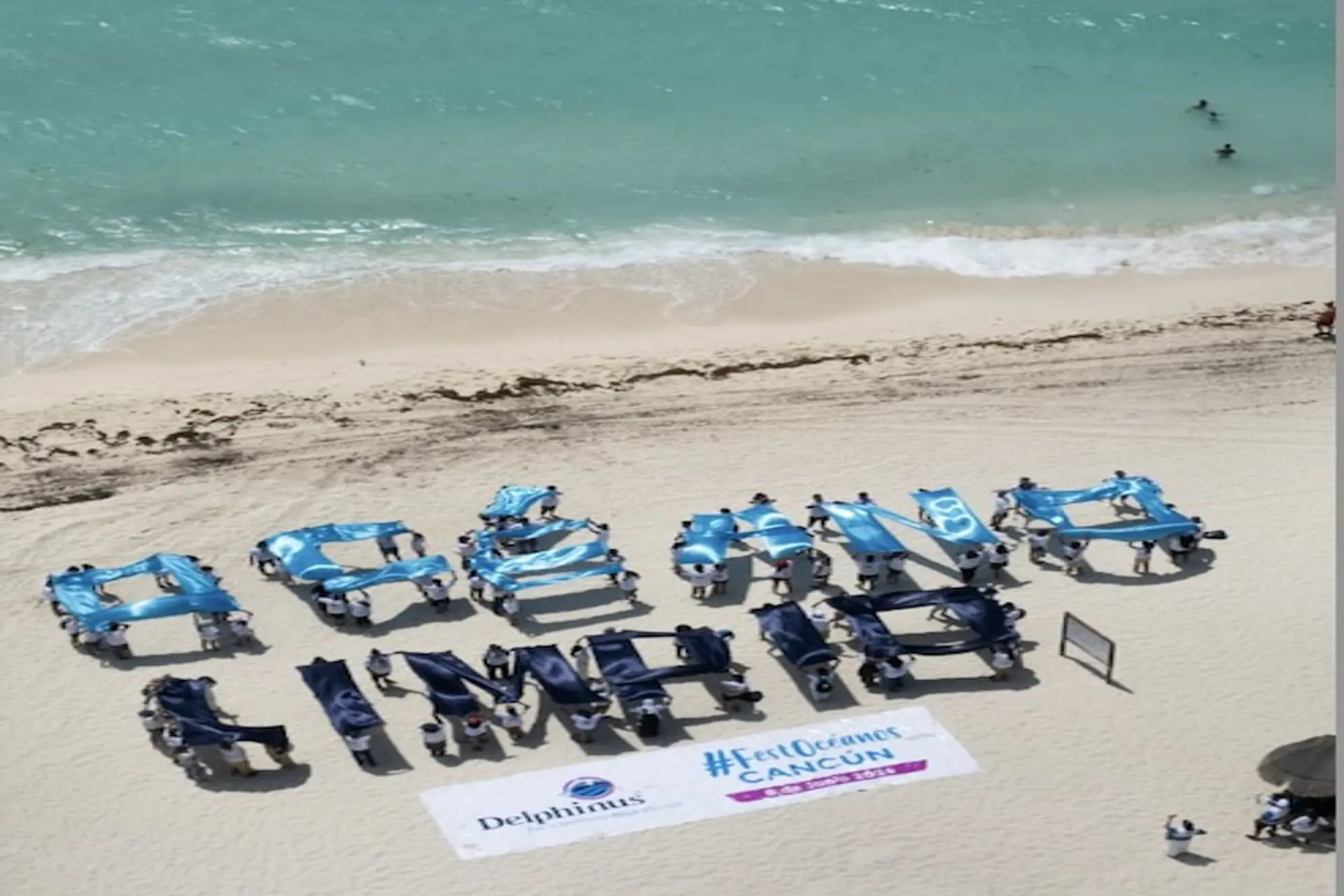 Cancún: El 13° Festival de los Océanos celebra la vida marina 