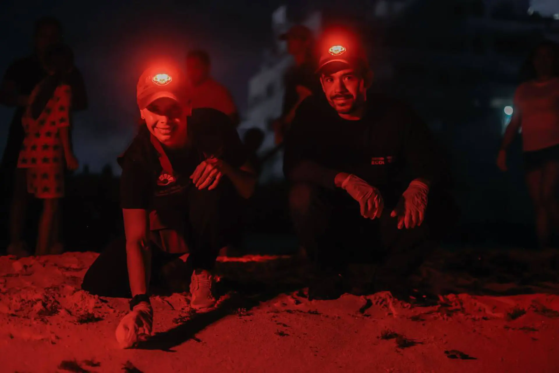 Inician liberación de las primeras tortugas marinas en Cancún  