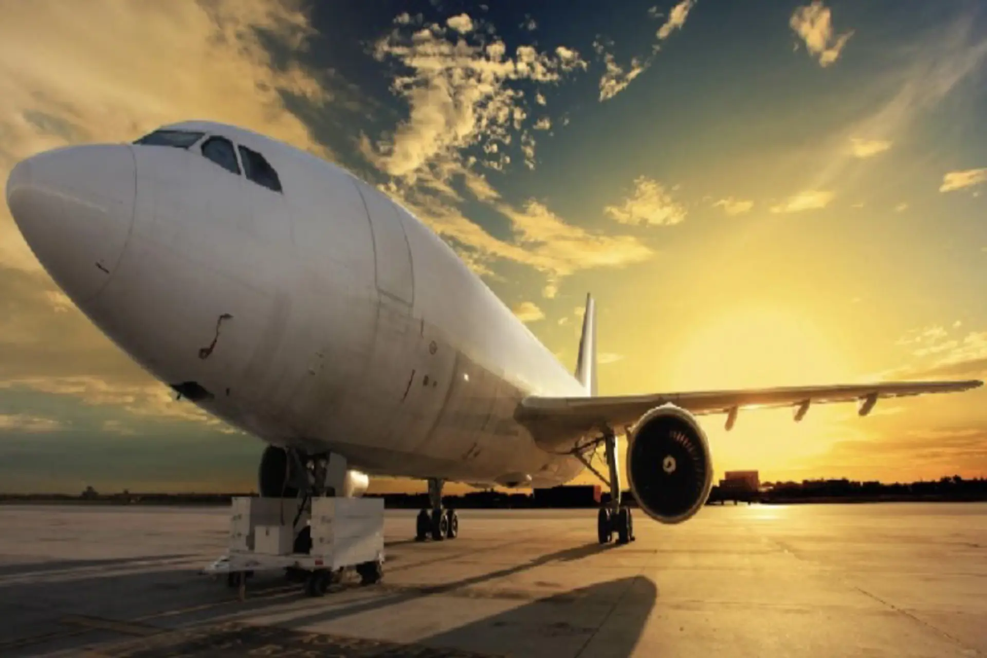 ANATO estima crecimiento de 9% en la temporada de mitad de año 