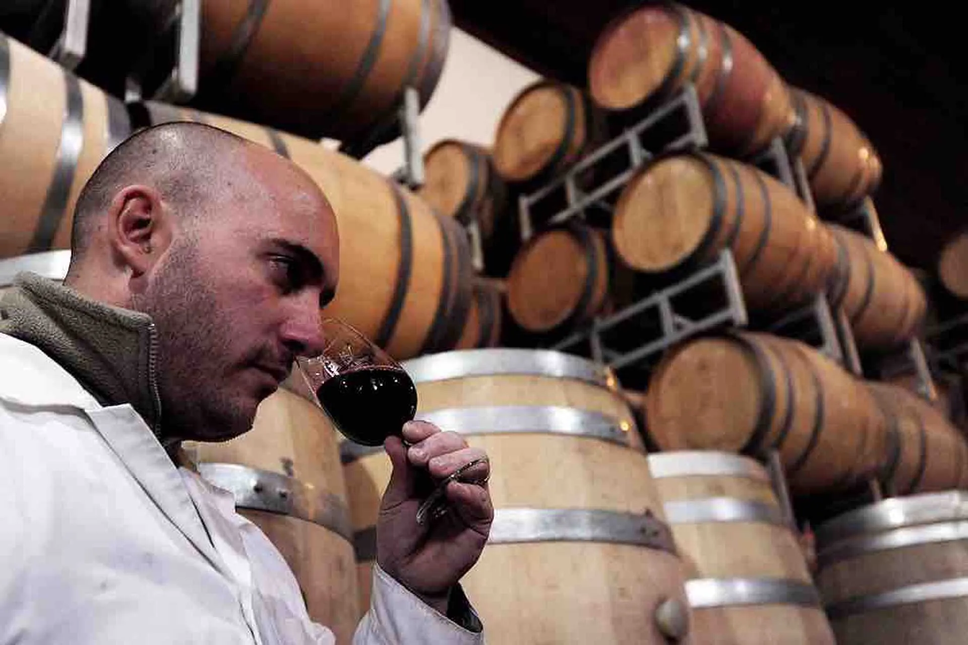 Argentina: Zuccardi, elegida por 3era vez "mejor bodega del mundo"