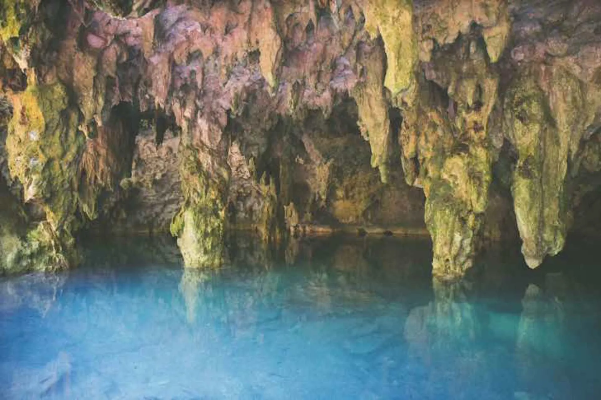 Los 3 mejores cenotes de la Riviera Maya 