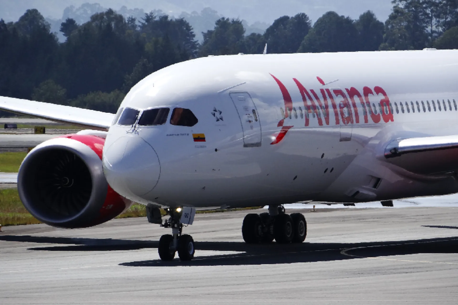 Avianca anuncia nuevas rutas y la reactivación de otras