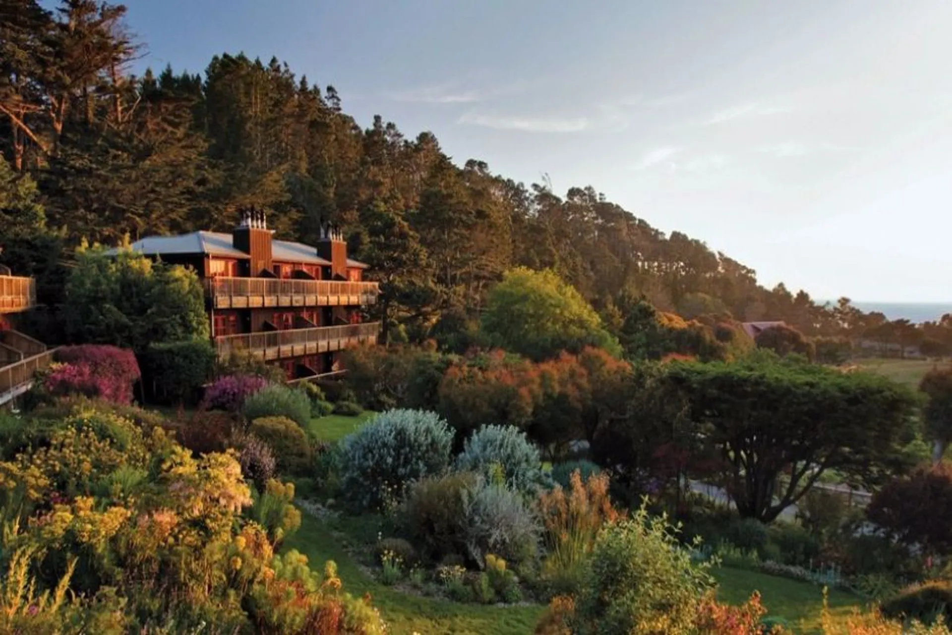 Los "veggie hotels" llegaron para quedarse. Mira 9 en Latinoamérica