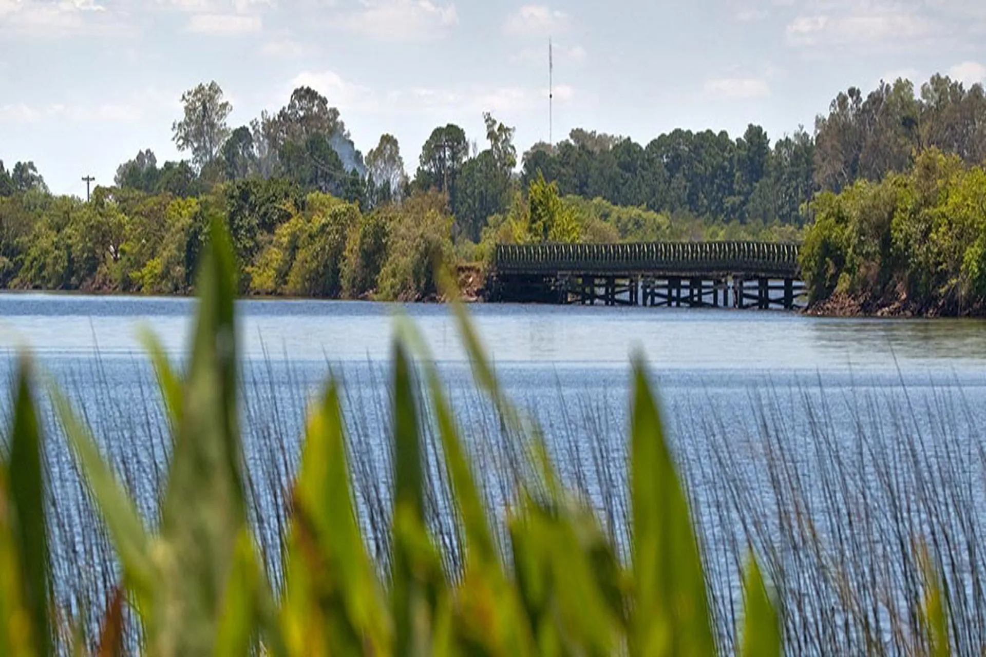 Parque Iberá: en el ranking de The New York Times para vacacionar 