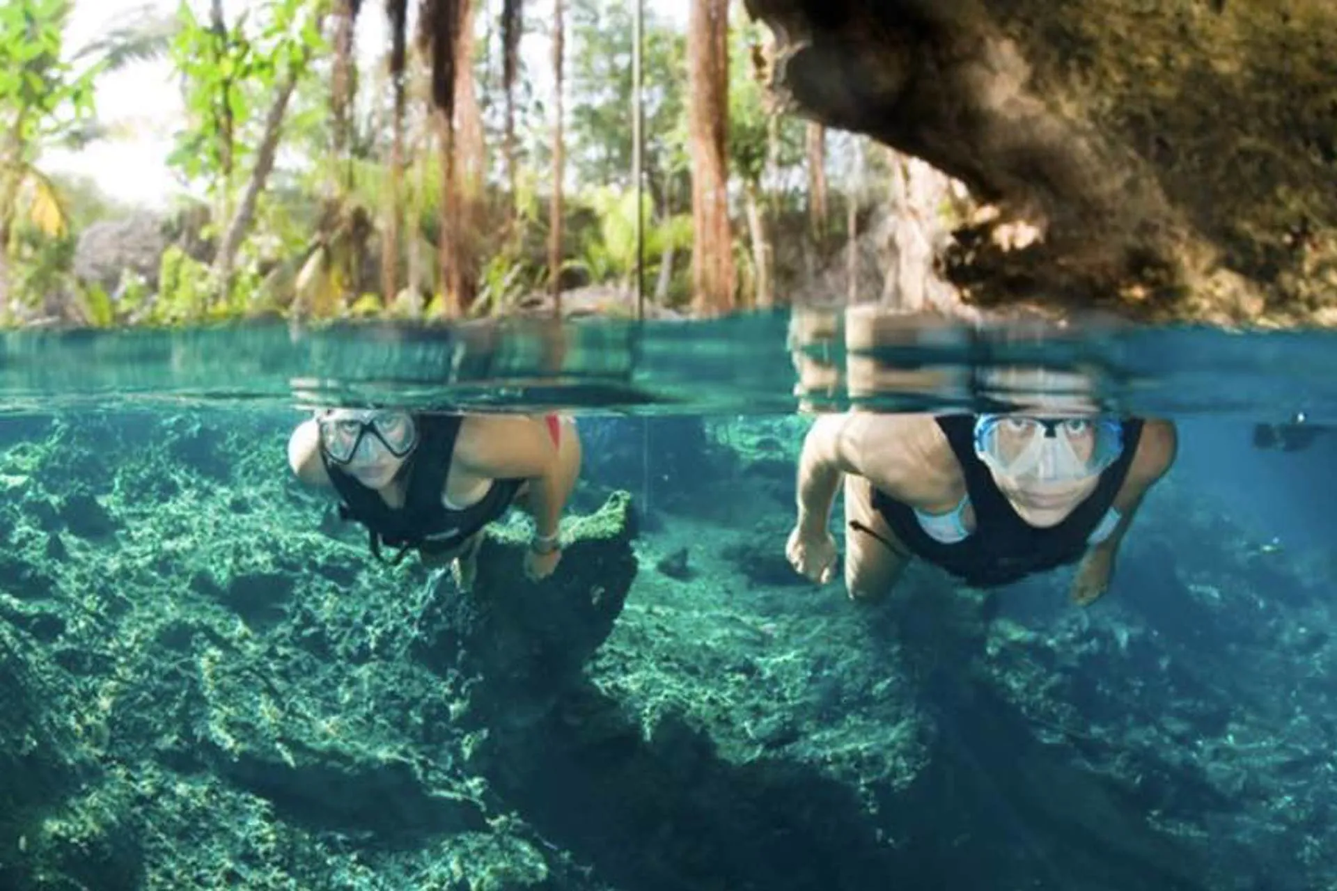 Mexico: Alltournative lista para el futuro por su impacto sustentable 