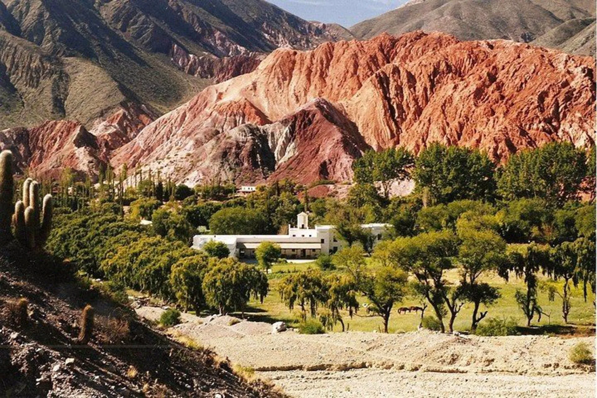 Argentina: 1er quincena de febrero podría ser aún mejor que enero