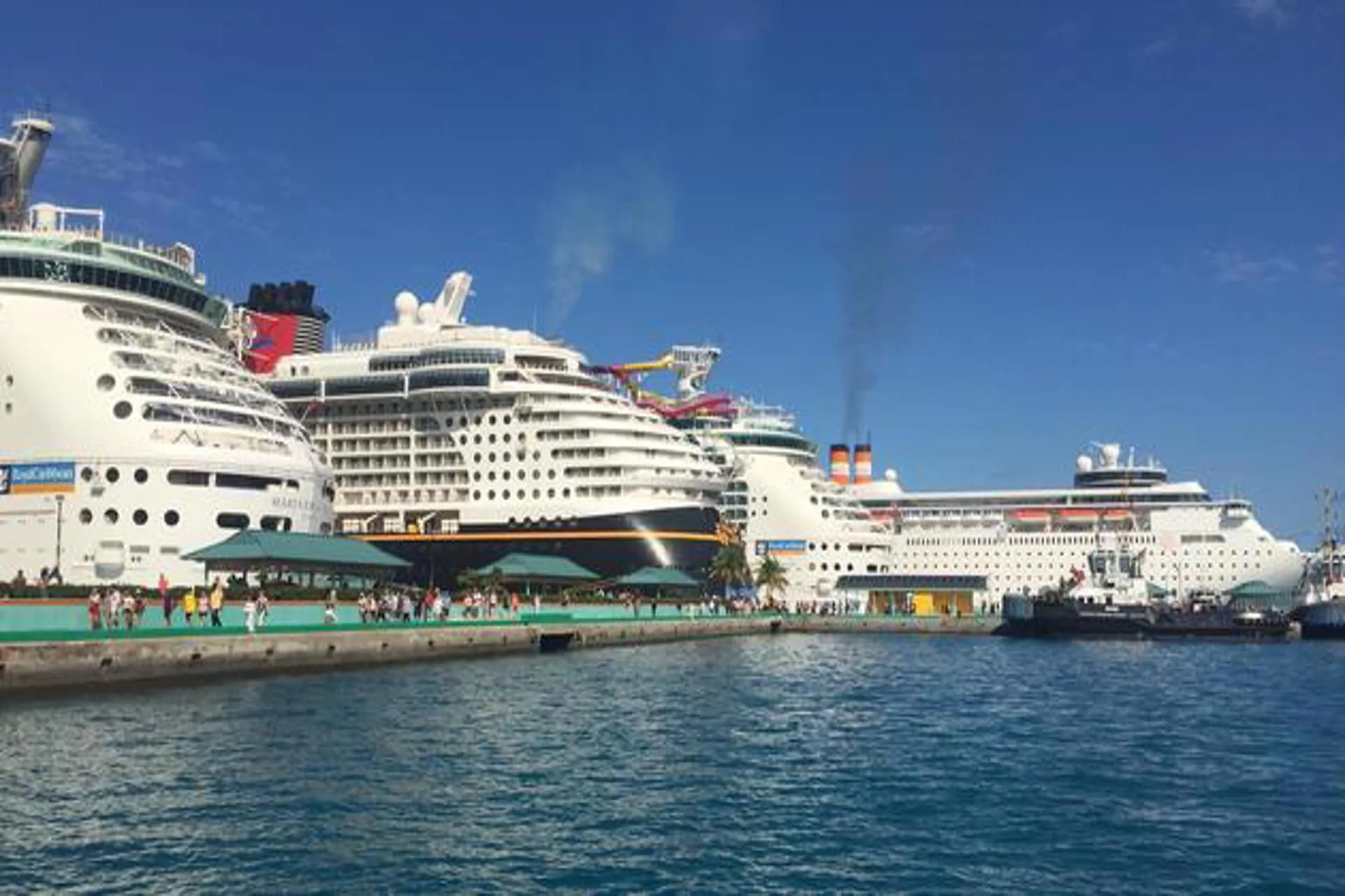 Disminuyen casos de Omicron y reservas de cruceros cobran fuerza