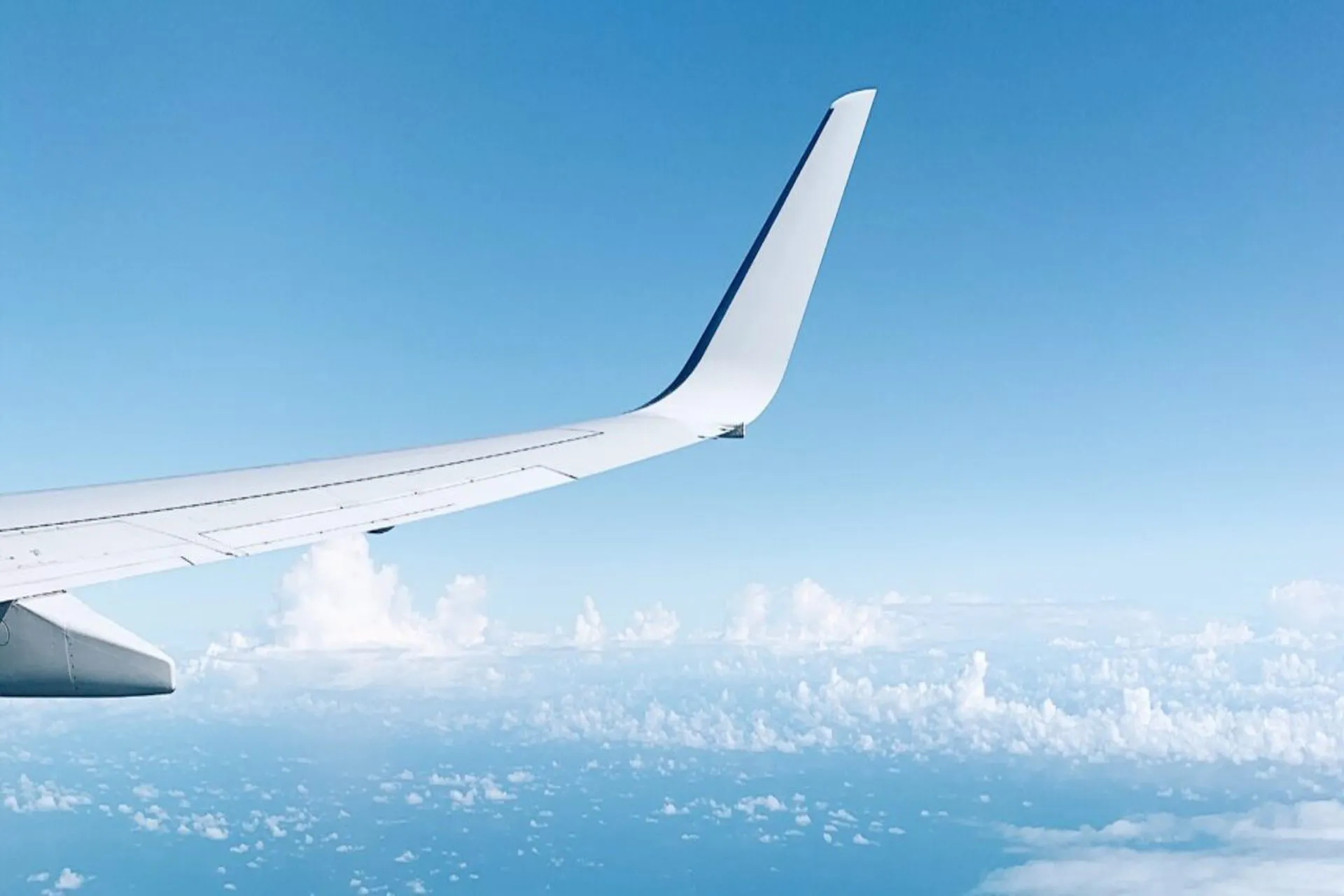 Aerus: una nueva aerolínea mexicana comenzará a volar en 2023