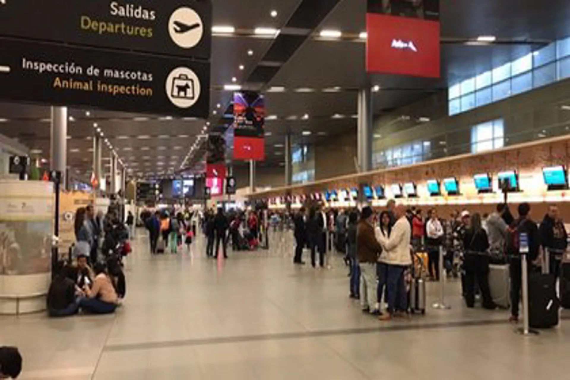 Pasajeros en vuelos internacionales cerca de niveles prepandemia