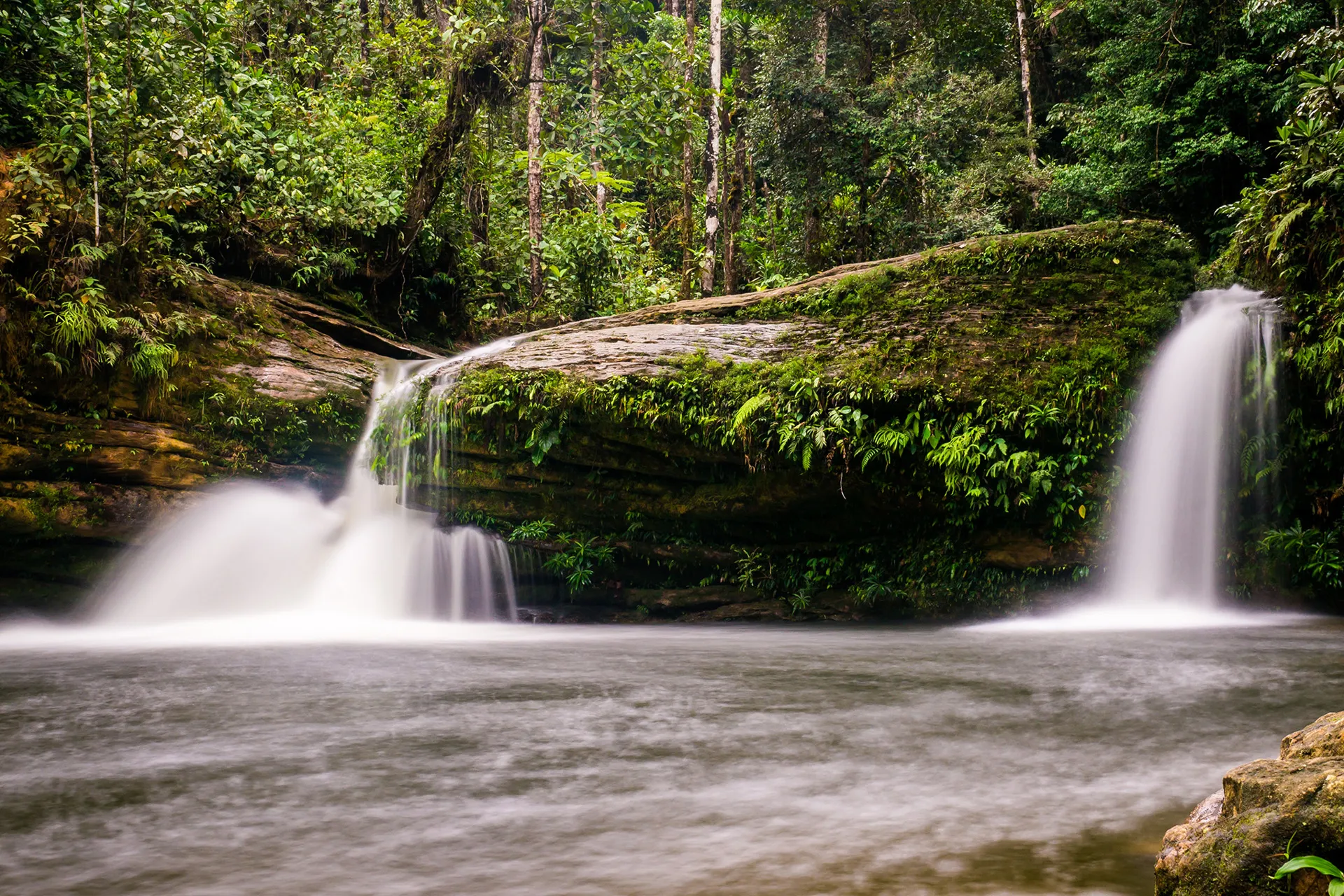 Colombia se consolida como destino para turismo de naturaleza