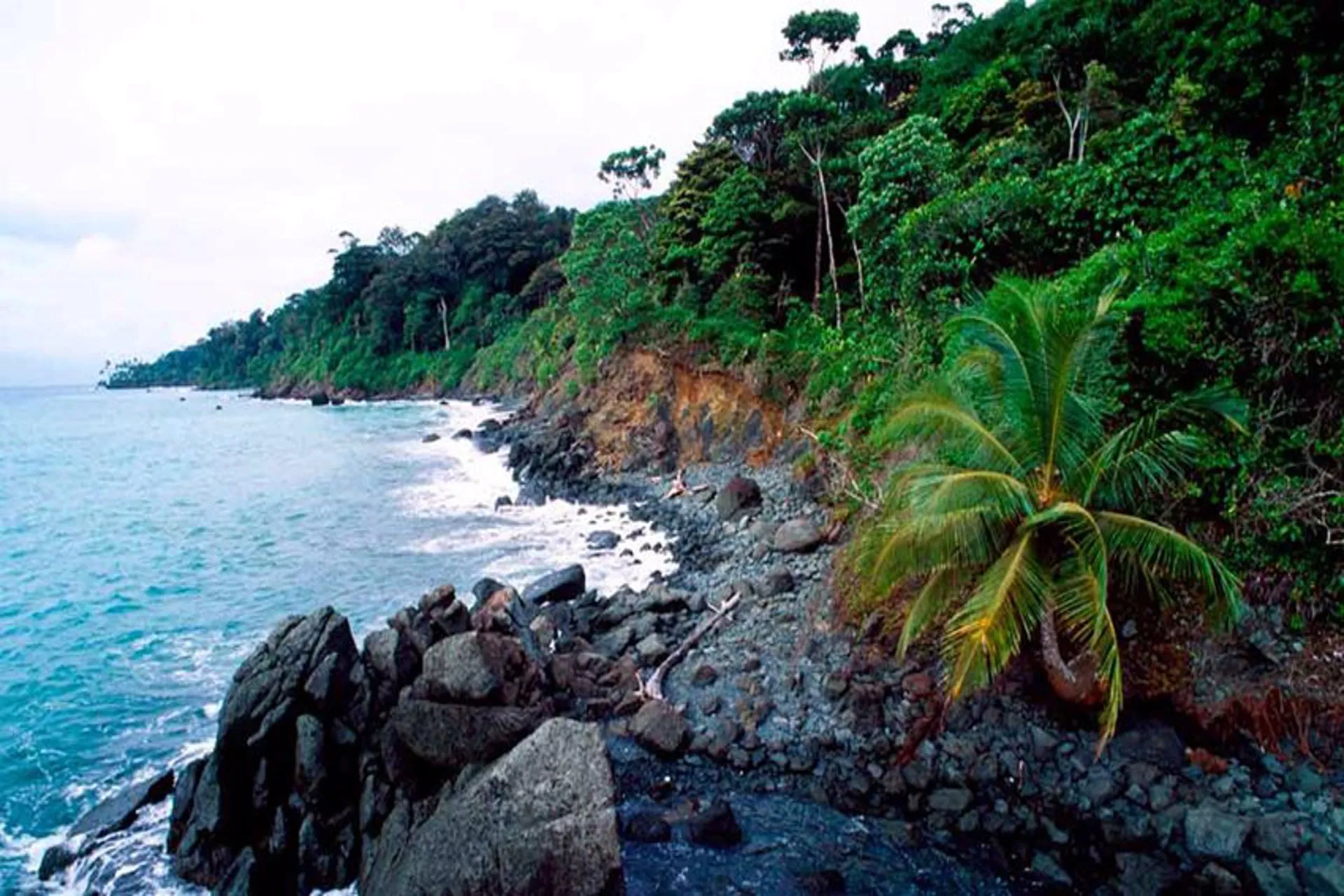 Llega la cuarta versión de los Premios de Turismo Colombia Co 2022