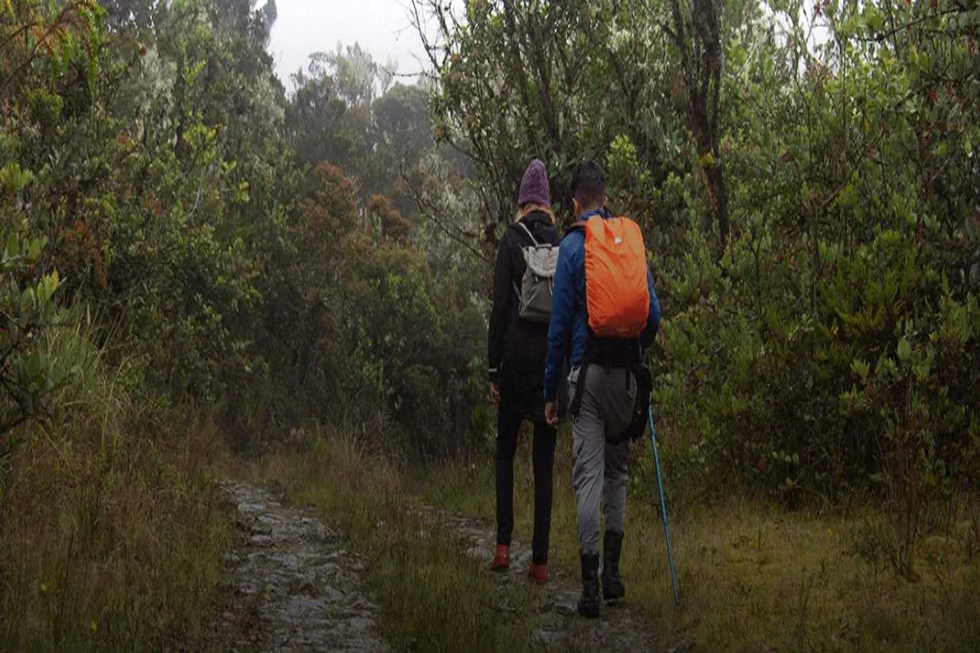 Colombia apuesta por el turismo sostenible en comunidades locales