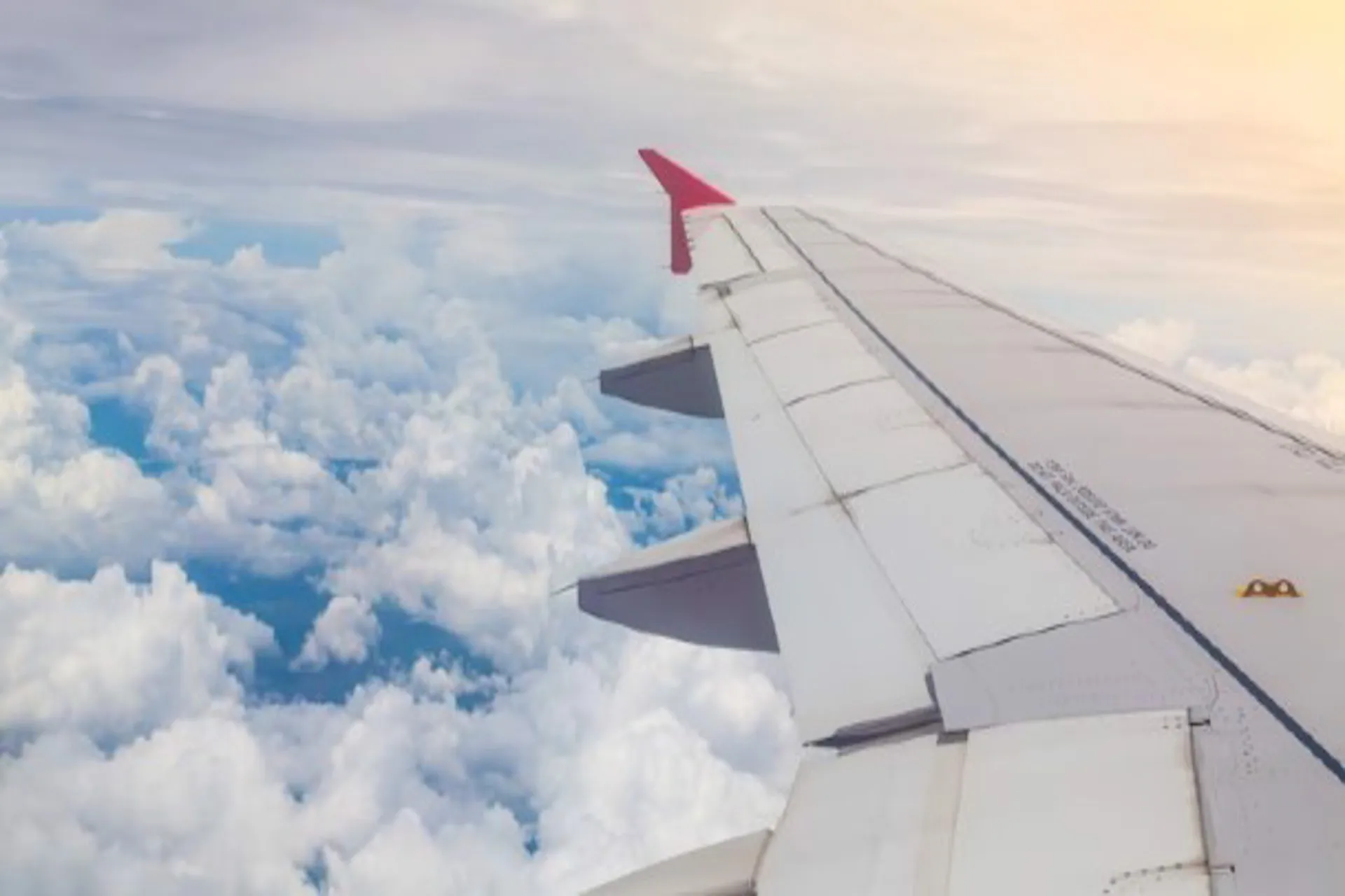 2022 fue el mejor año para el transporte aéreo en Colombia