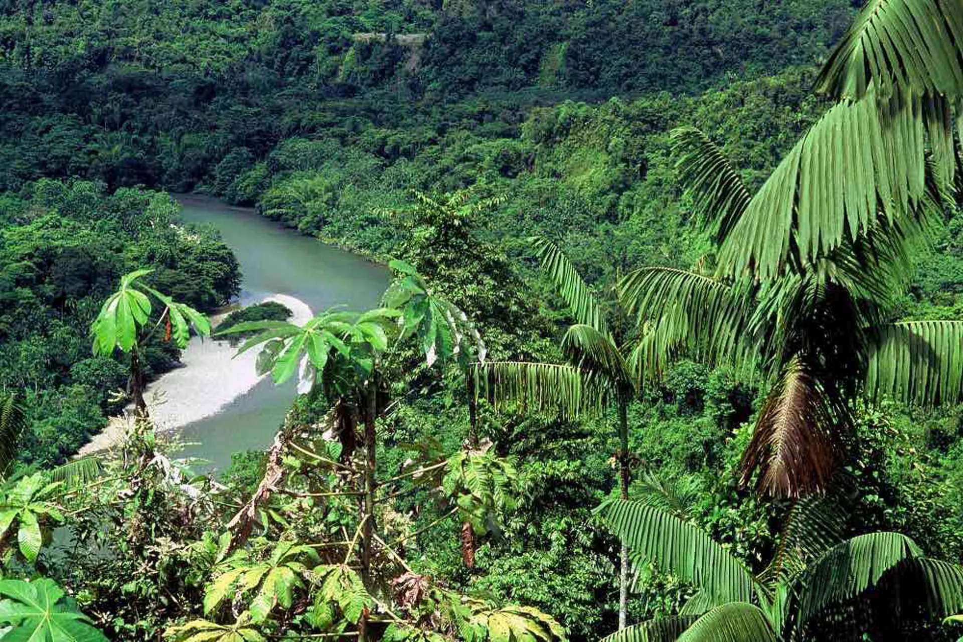 Colombia: Airbnb aporto USD 300 mil a WWF para turismo sostenible 