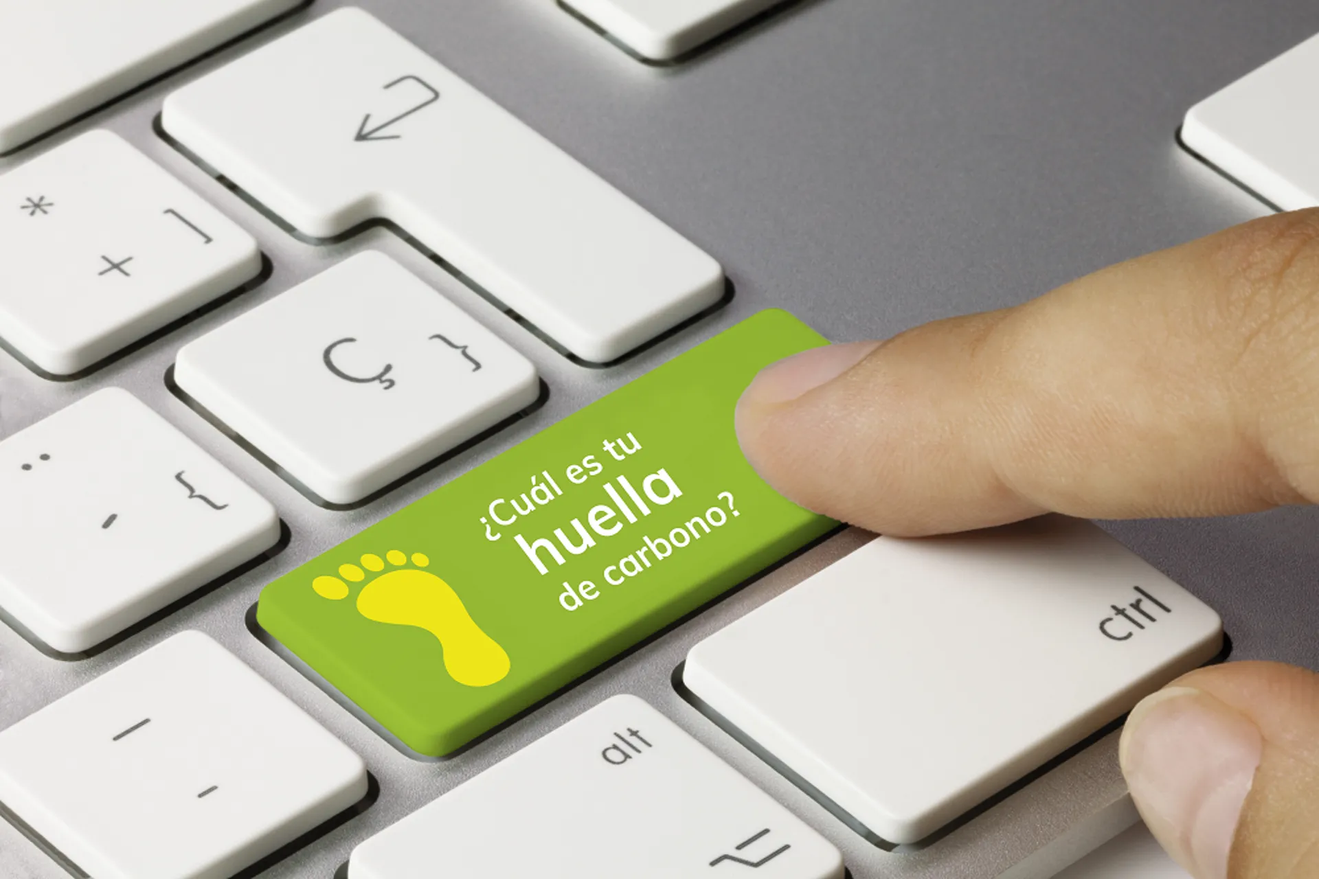Aviatur desarrolla calculadora para medir su huella de carbono
