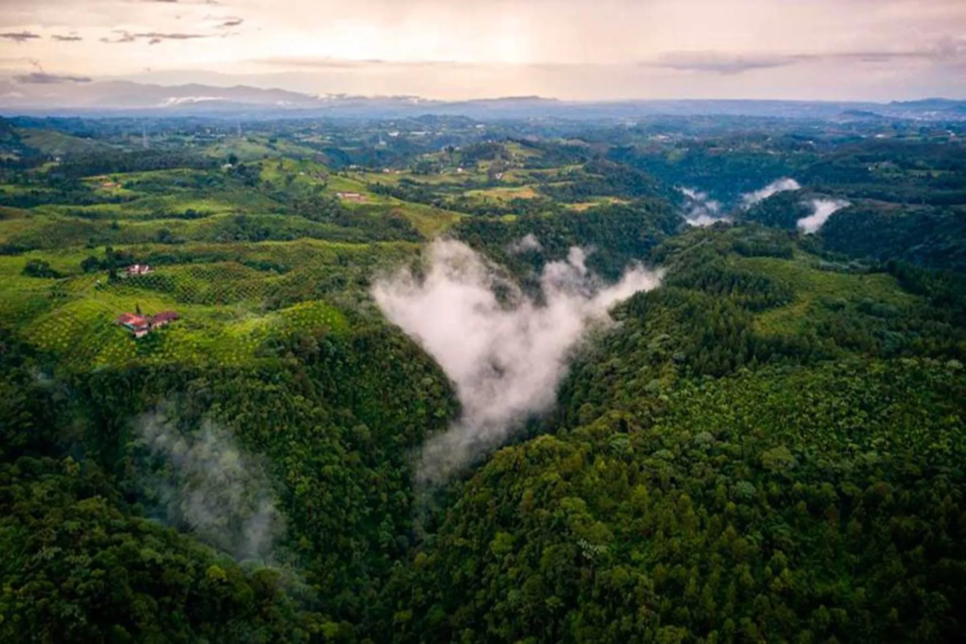Colombia es el 3er país en América en superar cifras prepandemia